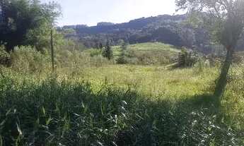 Imagem 6: Chácara 84 hectares valor 2,100,000,00 avista