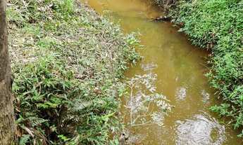 Imagem 3: VENDO LINDA CHÁCARA COM MUITA AGUA