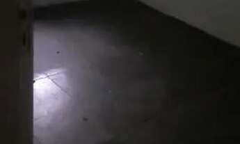 Imagem 2: Direto com proprietário