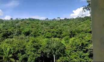 Imagem 4: Sítio 11 Alqueires Itapuranga GO