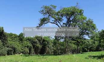 Imagem 3: Haras com Redondel Pista e Baias em Condomínio com Segurança e Lazer