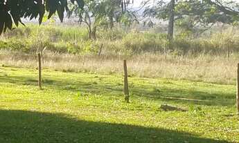 Imagem 4: 3.5 alqueires com benfeitorias em Itaquiraí