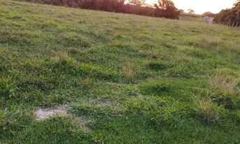 Imagem 2: Vende-se uma excelente chácara de 6 alqueires