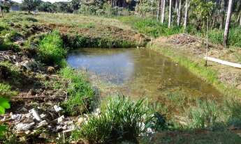 Imagem 5: Vende-se Chácara de 1 alqueires e 70 litros em Trindade-GO