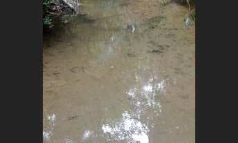 Imagem 5: Chácara com casa córrego troca Girassol