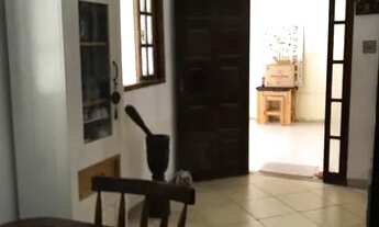 Imagem 5: Um cantinho pra chamar de seu