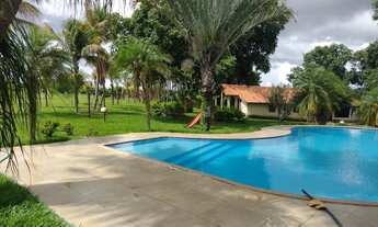 Imagem 2: Vende-se Chácara de 1 alqueires e 70 litros em Trindade-GO