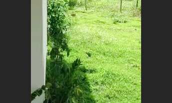 Imagem 6: Sítio 11 Alqueires Itapuranga GO