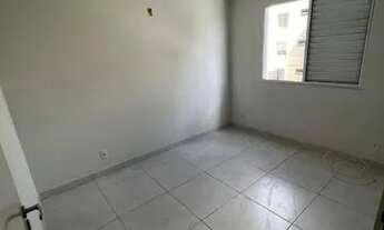 Imagem 6: Ap. Na vila ipê