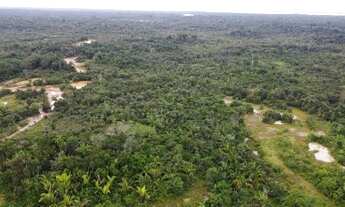Imagem 2: Terreno para venda tem 9,2266 Hectares na Rod. Manoel Urbano - Manacapuru - AM