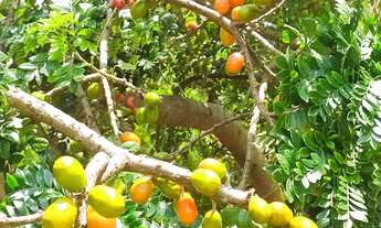 Imagem 2: Casa de condomínio térrea para venda possui 180 metros quadrados com 2 quartos