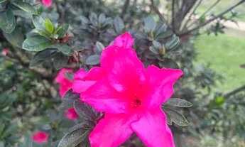 Imagem 2: Troco ou vendo, chácara com casa de 3 quartos, oportunidade !