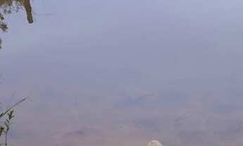 Imagem 4: Vende-se uma excelente chácara de 6 alqueires