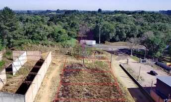 Imagem 6: Terreno Rural para Venda em Mandirituba, Mandirituba