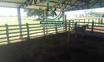 Imagem 4: Fazenda 38,5 Alqueires Alqueires