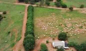 Imagem 2: Baldim/MG - Fazenda de 1.552ha - R$15.000,00 cada hectare