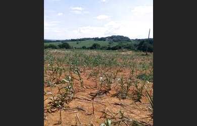 Imagem 4: Chácara em Bela vista meio alqueire, Go. 0.20 50km de Goiânia 200.000