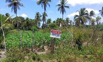Imagem 2: Terreno no passo de Camaragibe bom perto da principal