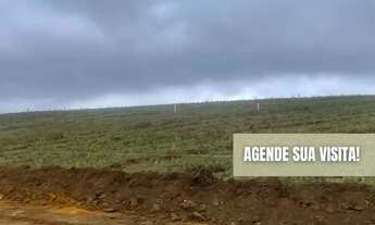 Imagem: Procurando terreno em Caucaia do Alto As