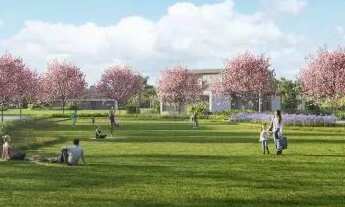 Imagem 4: Lote Terra da Grama 434,00m²