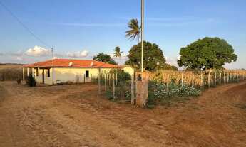 Imagem 5: Casa e terreno de 5,5 tarefas no Mulungu da Lagoa Preta