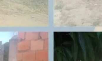 Imagem 5: VENDO TERRENO EM SANTO AMARO DAS BROTAS