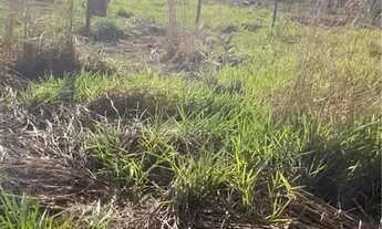 Imagem 7: Terreno ( chácara ) 1000 mt2 condomínio Lagoa dos Peixes