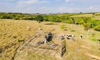 Imagem 5: Fazenda 29 alqueires São miguel passa 4 e vianopolis