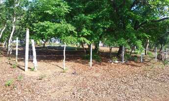 Imagem 2: Lote área rural chacaras