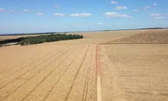 Imagem 4: Fazenda de 39.000hec em Confresa MT. Com 10 mil hec abertos 700 milhões