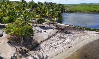 Imagem 3: Propriedade com 160 tarefas a venda no Povoado Farnaval em Estância-Se