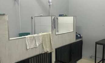 Imagem 6: PET ROQUE Galpão / depósito com 2 vagas na garagem