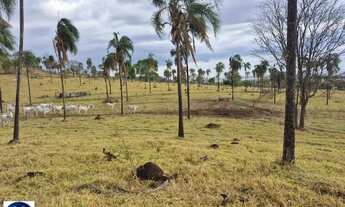 Imagem 5: Oportunidade Única! Fazendinha à Venda em Araçu/GO 21 Alqueires