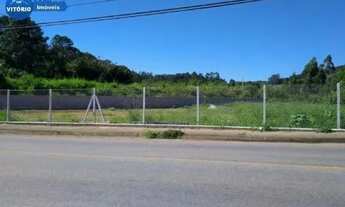 Imagem: Terreno á venda na Rota do Vinho !