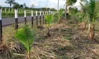 Imagem 6: Chácara Bonanza