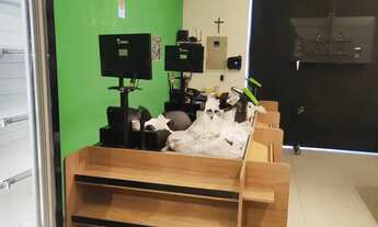 Imagem 6: Xcelente Loja Comercial na Praça Cosmorama 240m², Reformada e Pronta para Uso