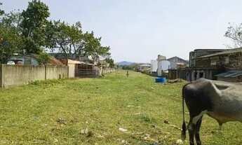 Imagem 2: Terreno - Florianópolis SC