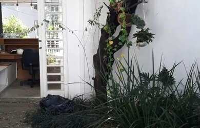 Imagem 3: Casa para alugar em Campinas, Cambuí, com 175 m²