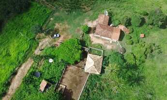 Imagem 5: Terreno na cidade fruta de leite