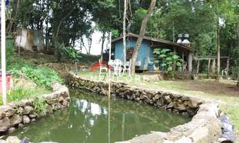 Imagem 6: Sítio em Est Padilha - Padilha - Padilha/RS