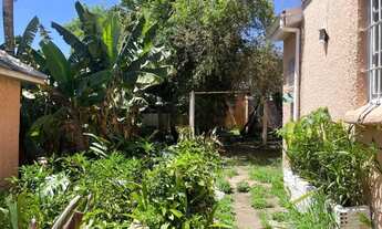 Imagem 6: Amplo Terreno com Casa no Partenon