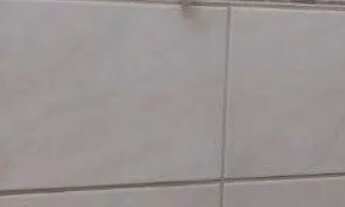 Imagem 5: Apartamento no bairro Auxiliadora de 2 dormitórios ( 1 suíte