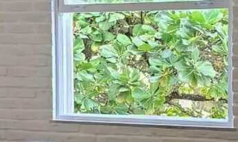 Imagem 7: Apartamento em Rua Almirante Saddock de Sá - Ipanema - Rio de Janeiro/RJ