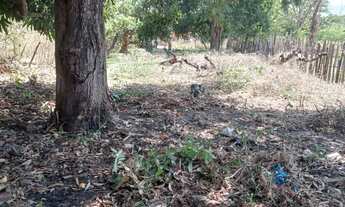 Imagem 5: Terreno gigante barato