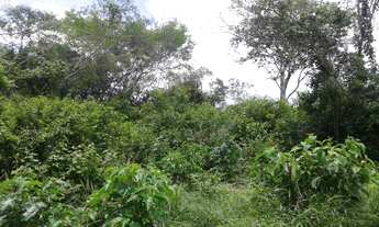 Imagem: Fazenda com 202 há em Coronel Ezequiel