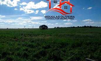 Imagem: Fazenda na região de Santa Vitória/ MG