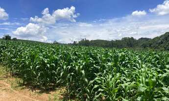 Imagem 6: Vendo -12 alqueires em Guararema