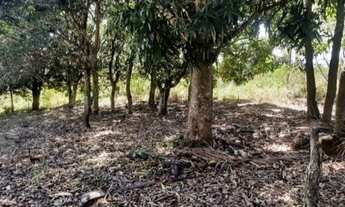 Imagem 2: Vendo casa em Santo Antônio - Vitória