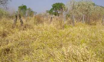 Imagem 6: Fazenda 900 hectares a venda em Várzea da Palma