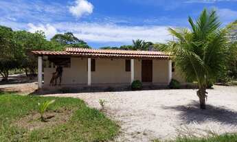 Imagem: SITIO RESIDENCIAL em CAMAÇARI - BA, COQUEIROS